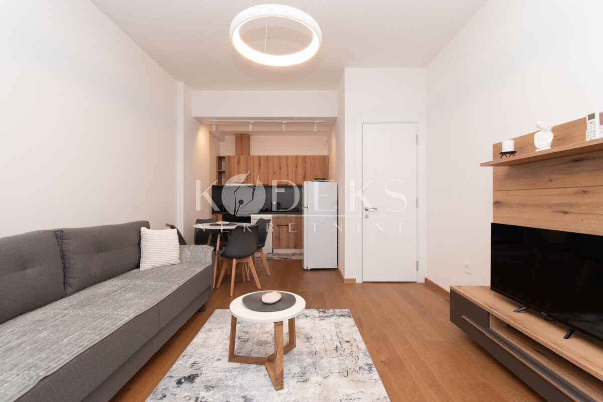 jednosoban stan izdavanje one bedroom apartment for rent podgorica centar stara varos pejton (3)