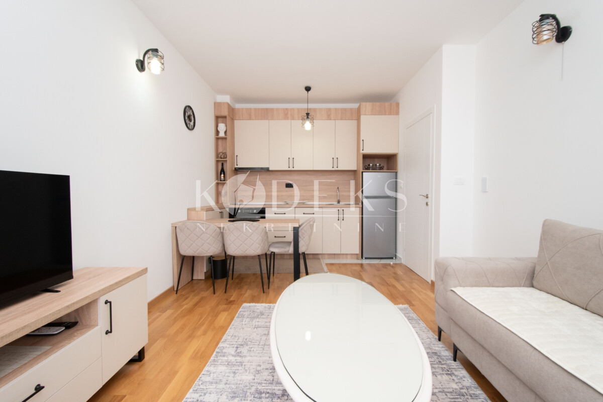 jednosoban stan izdavanje zagorič branko božović škola one bedroom apartment for rent podgorica-2