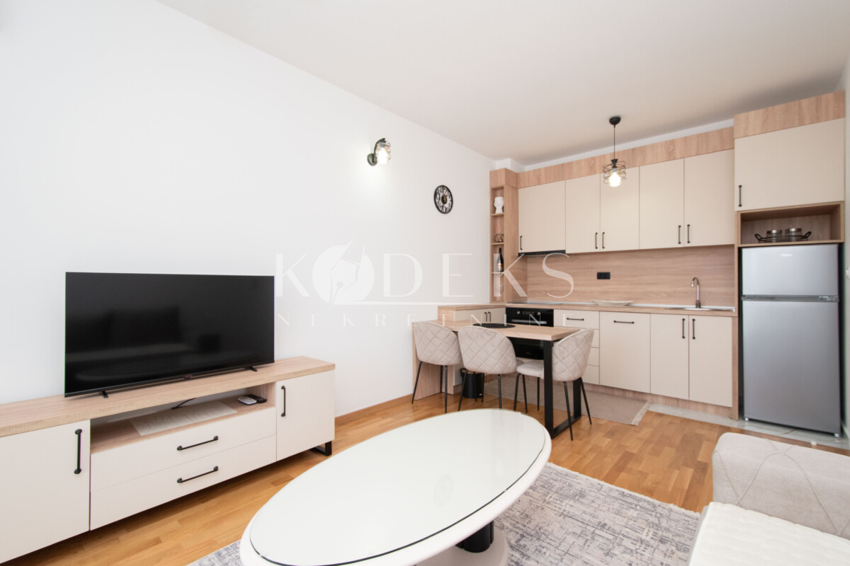 jednosoban stan izdavanje zagorič branko božović škola one bedroom apartment for rent podgorica-3