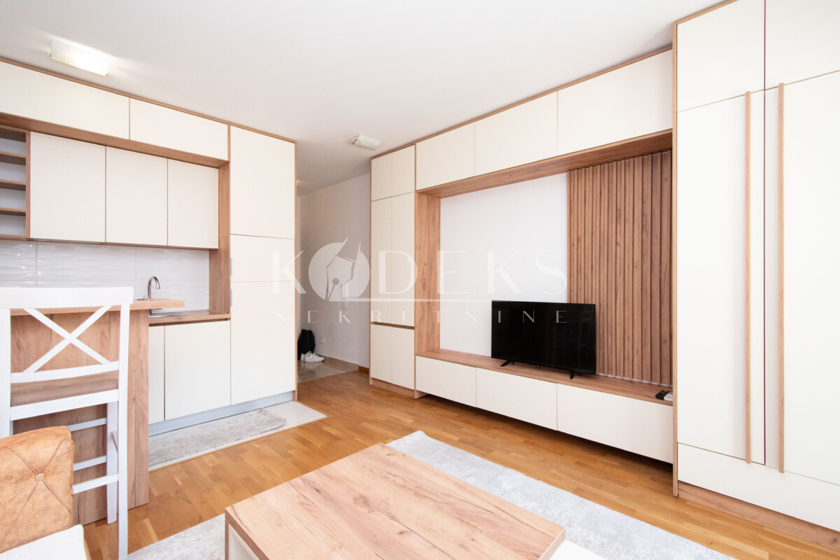 garsonjera izdavanje studio apartment for rent podgorica stari aerodrom-3